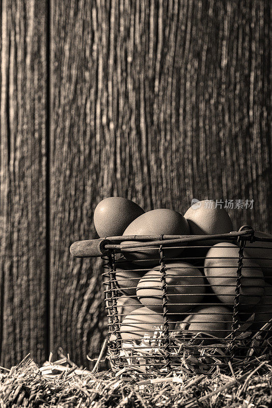 A basket full of farm fresh eggs on a straw bale – B&W